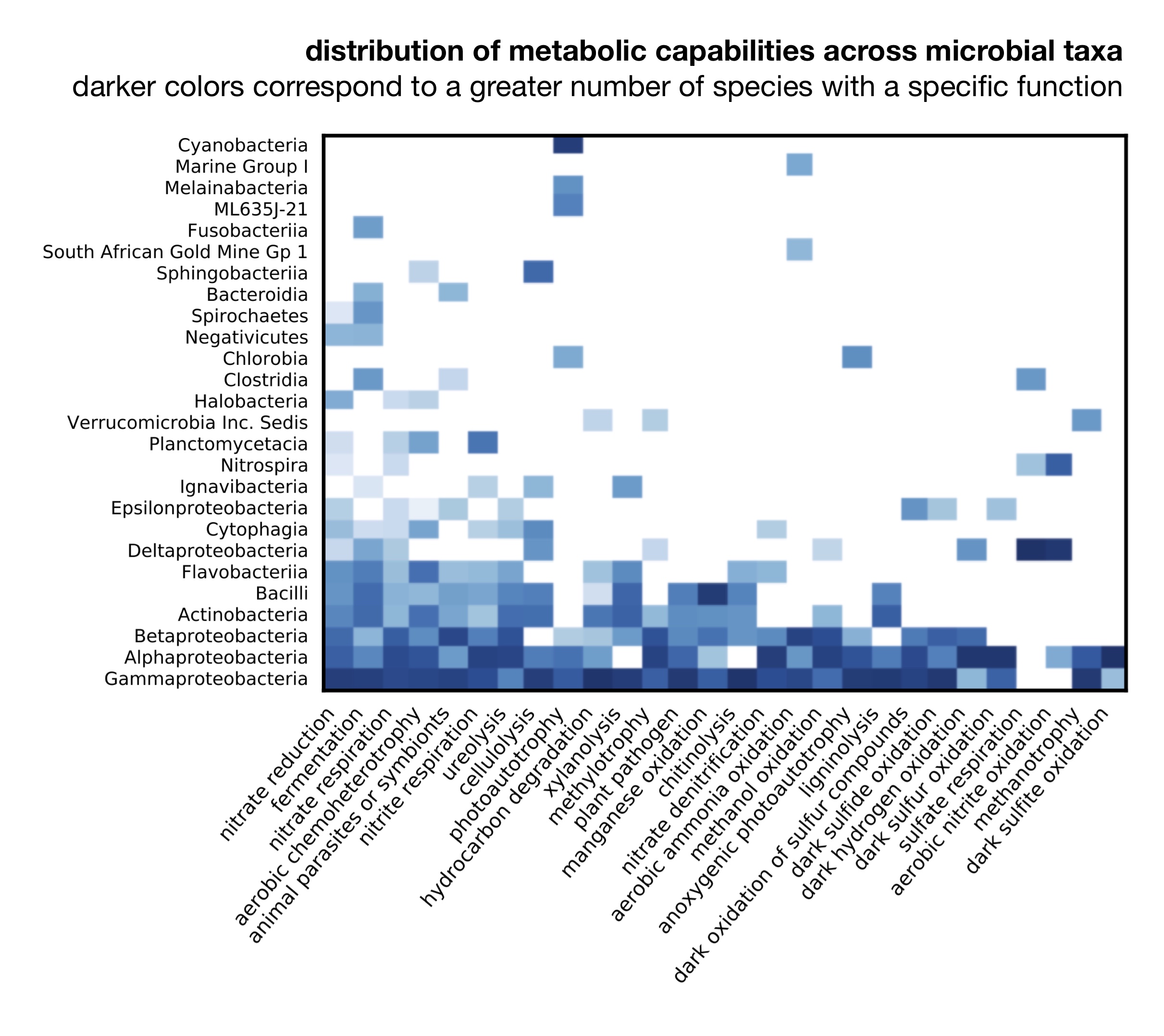 taxa-function associations in marine microbes